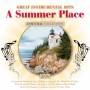 V / a - A Summer Place - Great Instrumental Hits