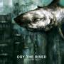 Dry The River - Shallow Bed