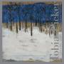 Tobias Picker - Invisible Lilacs
