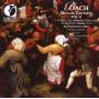 Les Violons Du Roy / Bernard Labadie - Secular Cantatas II