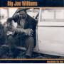 Big Joe Williams - Absolutely The Best