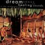 Various - DREAM SONGS AND HEALING