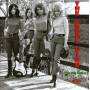 Various - The Rebel Kind-Girls With Guitars 3