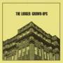 Lodger - Grown Ups