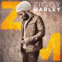 ziggy Marley - Ziggy Marley