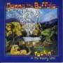 Donna The Buffalo - Rockin In The Weary Land