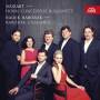 Baborak / Baborak Ensemble - Hornkonzerte in Quintettbesetzung