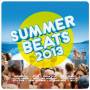 Various - Ultimate Summer Album 2013
