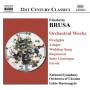 Mastrangelo / Nso Ukraine - Orchesterwerke Vol.2