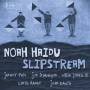 Noah Haidu - Slipstream