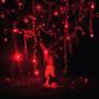 Sophie Hunger - The Danger Of Light (+cd)