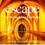 Various - escape to the buddah boutique