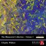 Frederic Chopin - Blumental Collection 1: Chopin Waltzes