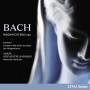 Weimann / Arion Baroque / + - Magnificat BVW 243