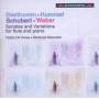 Fabio De Rosa / Stefania Neonato - Sonaten und Variationen fr Flte und Klavier
