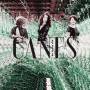 Ganes - An cunta che