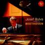 BEETHOVEN L. V. - Josef Bulva: Beethoven