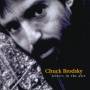 Chuck Brodsky - Letters in the Dirt