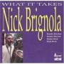 Nick Brignola - What It Takes
