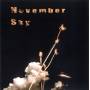 The Remote Viewers - November Sky