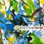 Paolo Carta Mantiglia / paolo - Epanuissement