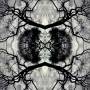 Adam Rudolph - Sonic Mandala Go: Organic Orchestra