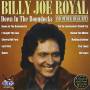 Billy Royal Joe - Down In The Boondocks