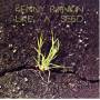 Kenny Rankin - Like A Seed