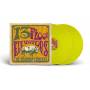 13th Floor Elevators - The Reunion Concert