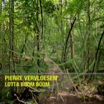 Pierre Vervloesem - Lotta Boom Boom