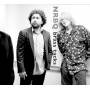 Nrbq - Brass Tacks