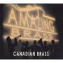 V / a - Amazing Brass