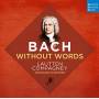 Lautten Compagney - Bach Without Words