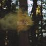 Olivia's Owls - Moments Arriving