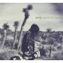 Lights - Siberia Acoustic