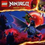 Various - LEGO Ninjago (CD 71)