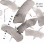 Jitka Trio Suranska - Dive Husy