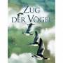 Jacques Cluzaud - Zug der Vgel (2 DVDs) [EURO-Version, Regio 2]