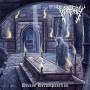 Insatanity - Divine Decomposition