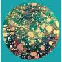 The Horrors - Higher =box=