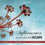 Levine / Arnold / Rosenkranz / Huang - Inflorescence: Music From Soundscape