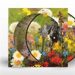 Current 93 - Swastikas For Noddy (Picture Disc)