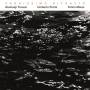 Gianluigi Trovesi Trio - Vaghissimo Ritratto