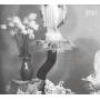 Jesu - Everyday I Get Closer To The Light From Which I Ca