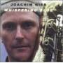 Joachim Gies - Whispering Blue