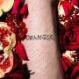 Drangsal - Harieschaim (Black Vinyl)
