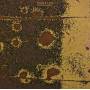 Mugstar - Magnetic Seasons