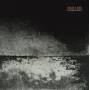 Insect Ark - Future Fossils