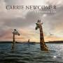 Carrie Newcomer - A Permeable Life