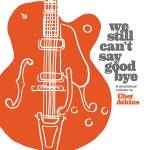 Diverse - We Still Can't Say Goodbye: A Musicians' Tribute T